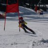 Sezóna 2013-14